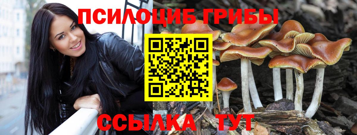 Псилоцибиновые грибы MAGIC MUSHROOMS Нурлат